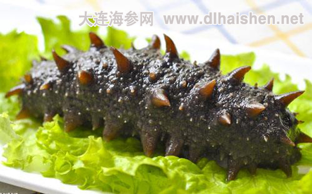 大连海参