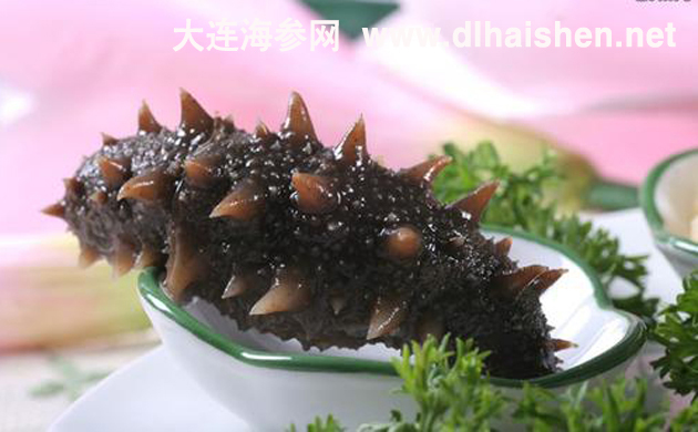 大连海参