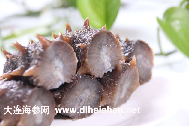 大连海参价格