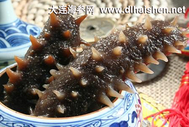 大连海参