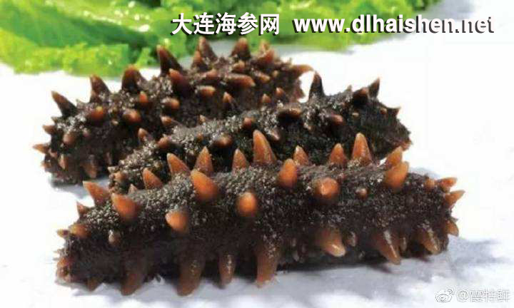 <b>海参功效</b>